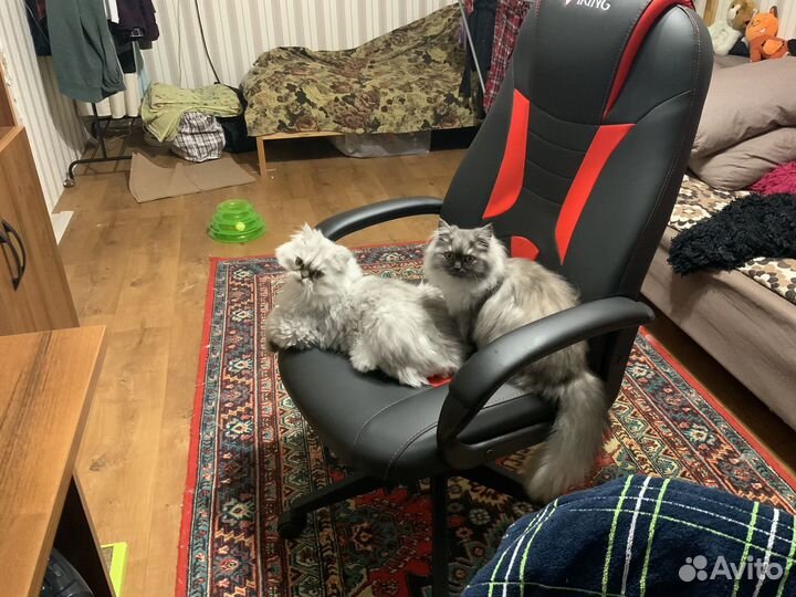 Игровое кресло Viking