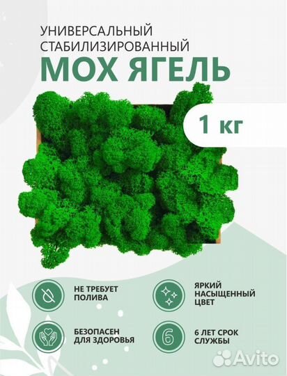 Стабилизированный мох