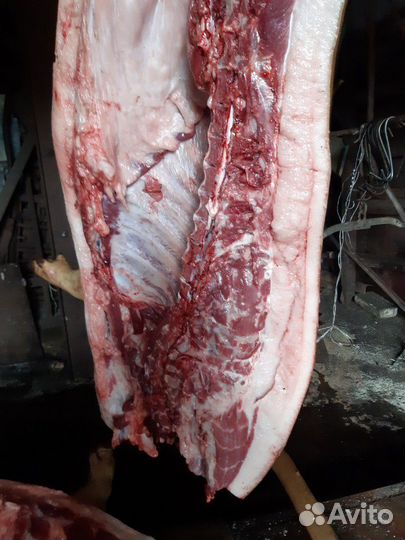 Свинина домашняя, есть шпиковые кондиции