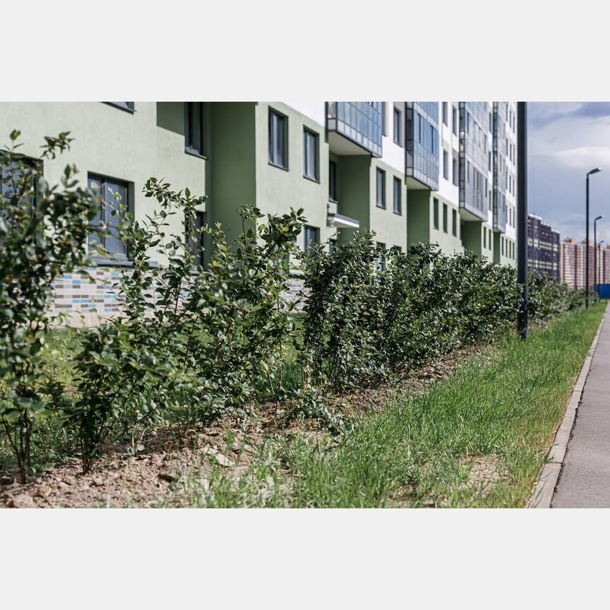 2-к. квартира, 55,4 м², 2/15 эт.
