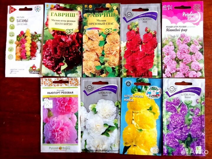 Рассада разная в стаканчиках