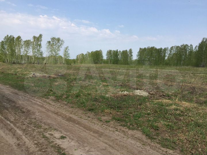 Участок 10,2 сот. (СНТ, ДНП)