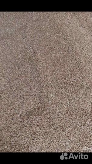 Пшеница 4 класс