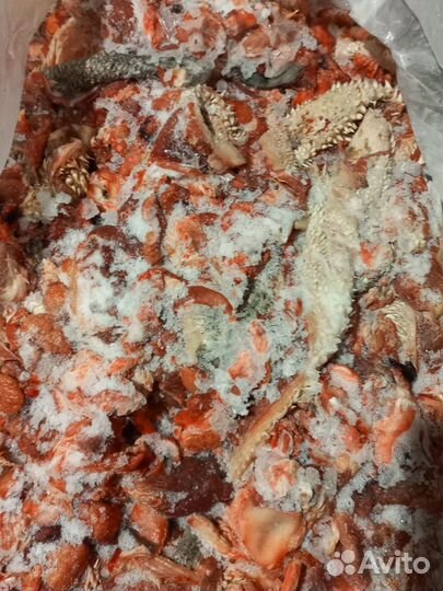 Мясо говядина для собак