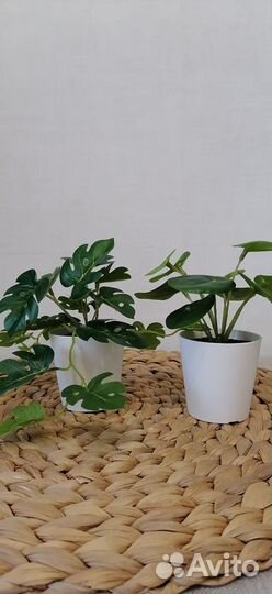 Искусственные цветы IKEA фейка