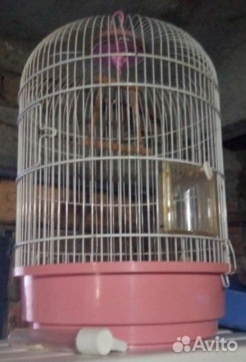 Клетка для птиц б/у. Круглая 45*28