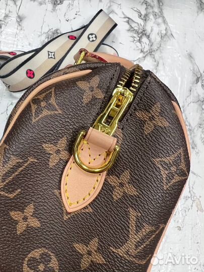 Сумка Louis Vuitton speedy mini