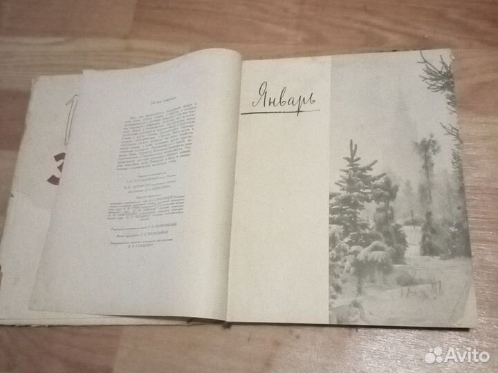 Земля и люди 1962 г