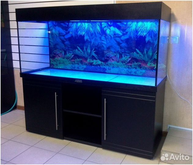 Аквариумы, тумбы, уход за аквариумом