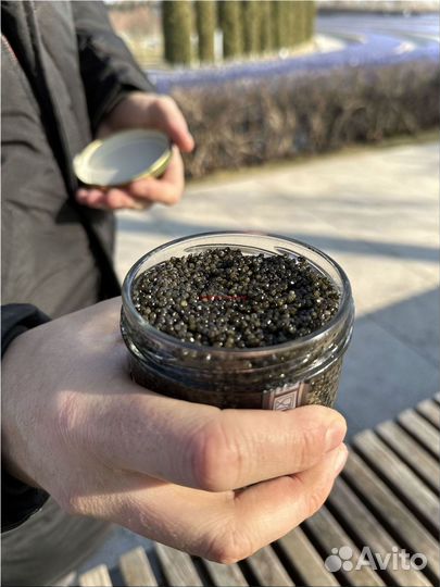 Черная икра