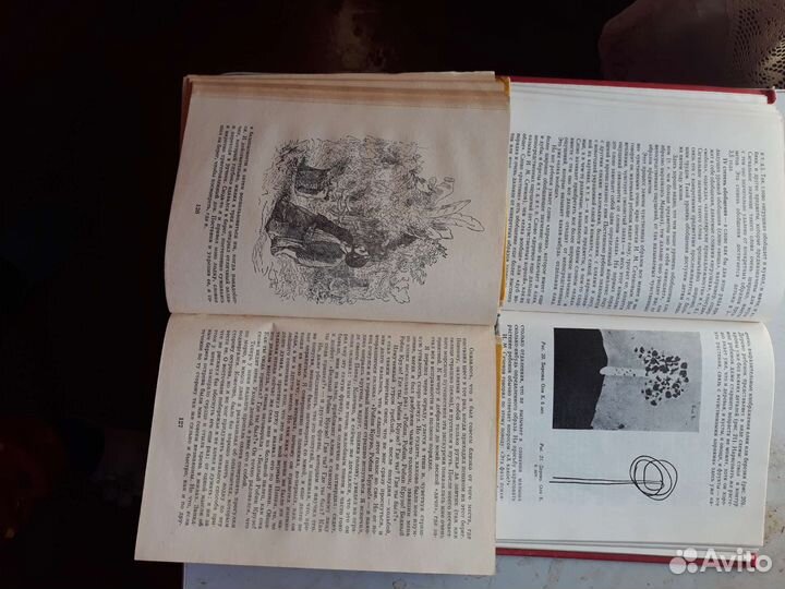 Книги с иллюстрациями