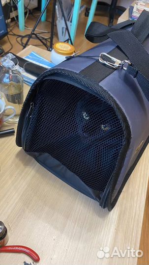 Переноска для кошек и маленьких собак