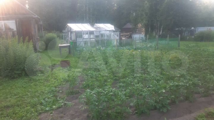 Участок 11 сот. (СНТ, ДНП)