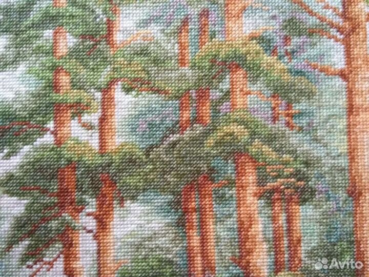 Картина вышитая крестиком. Сосновый бор