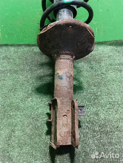 Стойка амортизатора передняя левая Suzuki Ignis 2