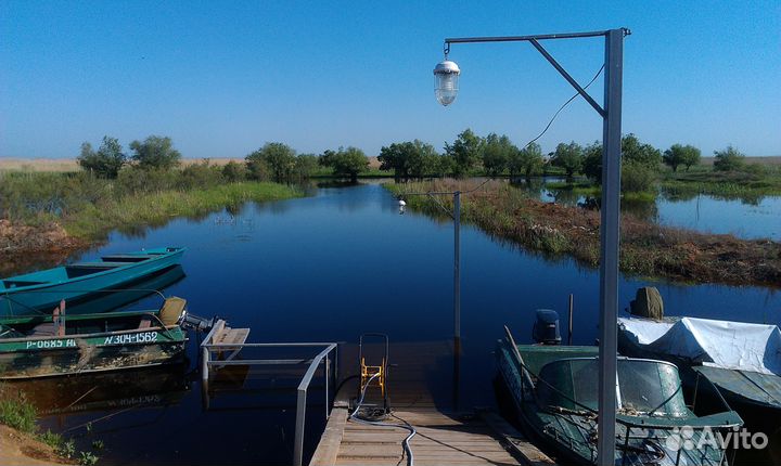 Рыбалка в Астрахани (охота)