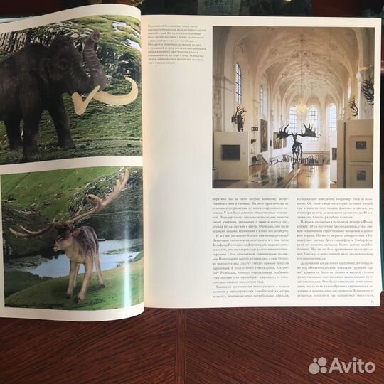 Охота. Курт Г. Блюхер