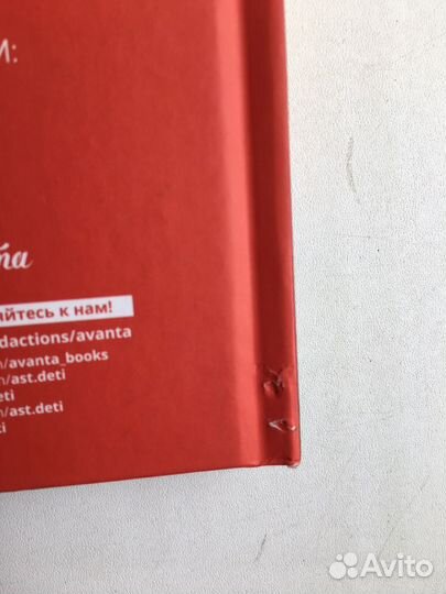 В поисках шахмат (Фуглесанг)