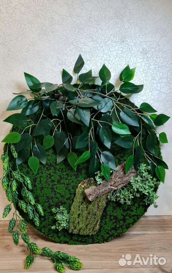 Картина, фито панно, картина из мха, фитостена