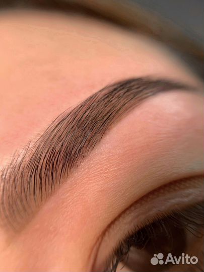 Обучение профессии Бровист