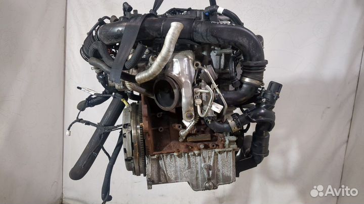 Двигатель Ford Focus 4 2018, 2019