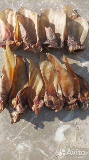Лакомства для домашних животных