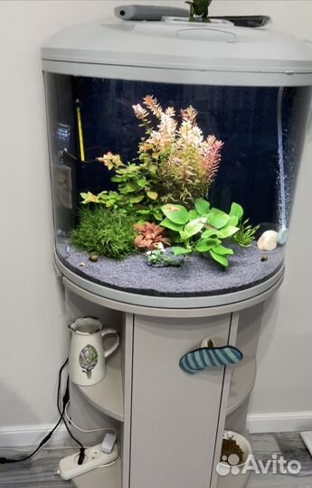 Аквариум