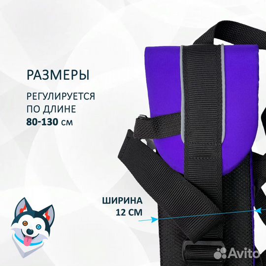 Набор для каникросса (Пояс+потяг+шлейка)