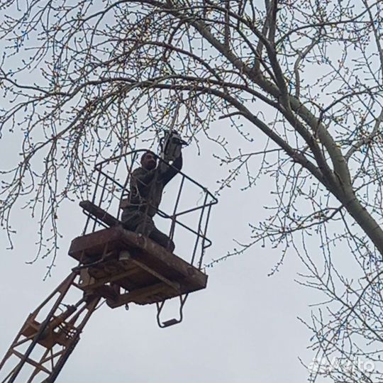 Уборка участка