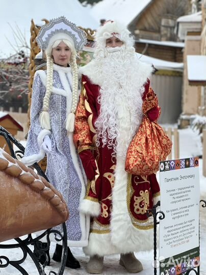 Дед Мороз и снегурочка на дом в школу детский сад