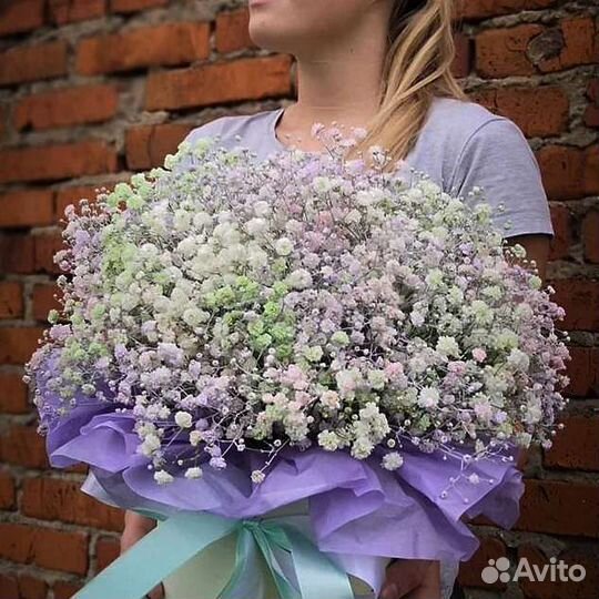 Гипсофила Шляпная коробка