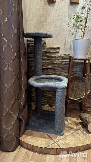 Когтеточка