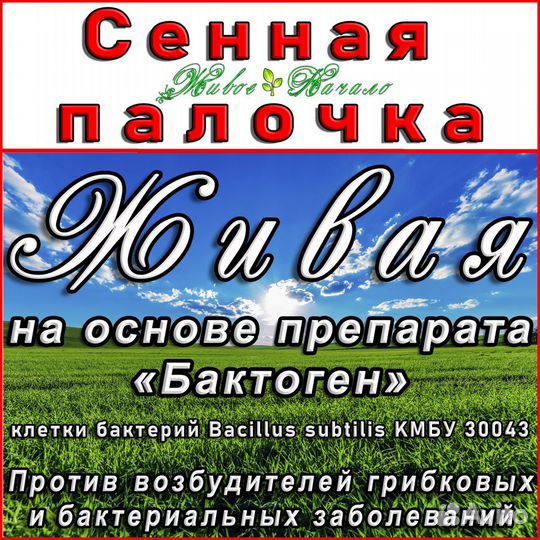 Триходерма - для защиты растений от болезней