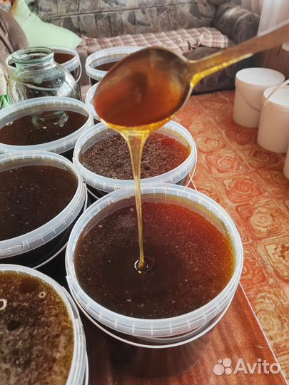 Свежий мед 2023