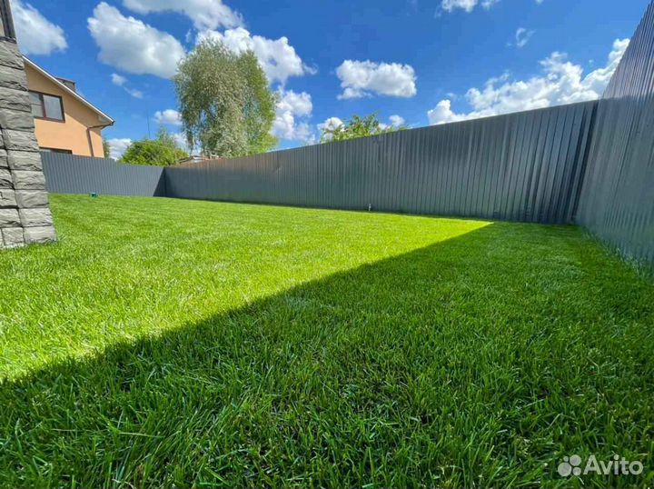 Укладка и продажа газона