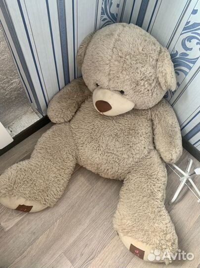 Плюшевый медведь