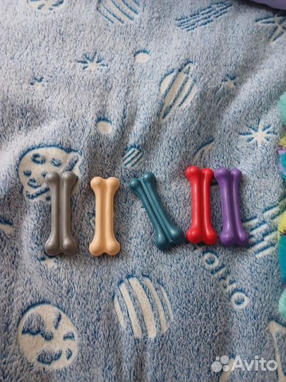 Одежда для собак