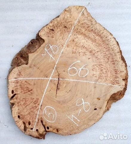 Каповый карагач