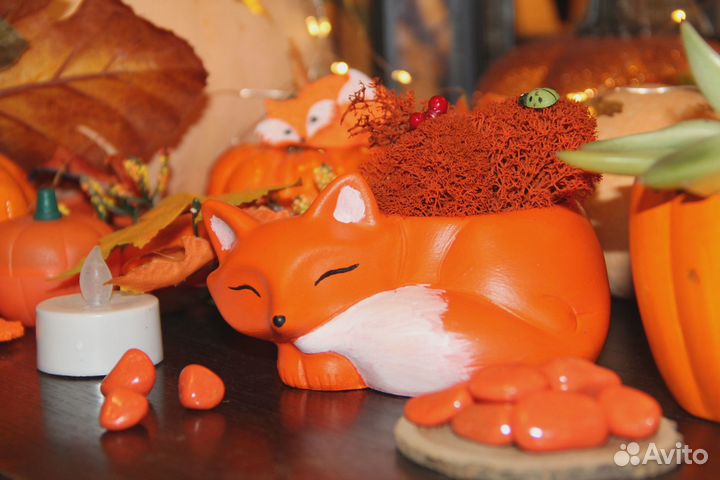 Кашпо, Подарок на день рождения