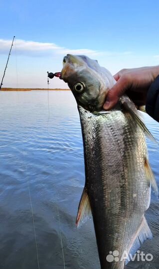 Свежая рыба, Фарш