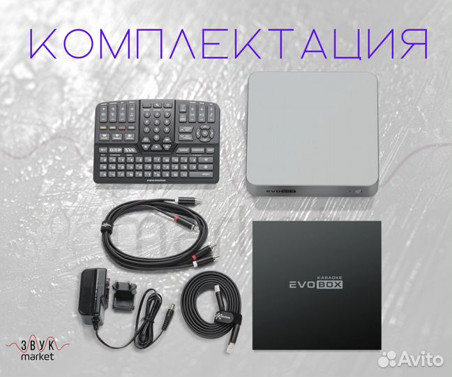 Караоке для дома Evolution Evobox Graphite