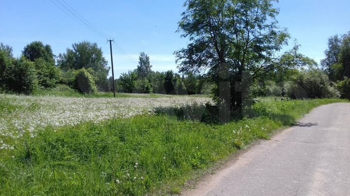 Участок 41 сот. (ИЖС)