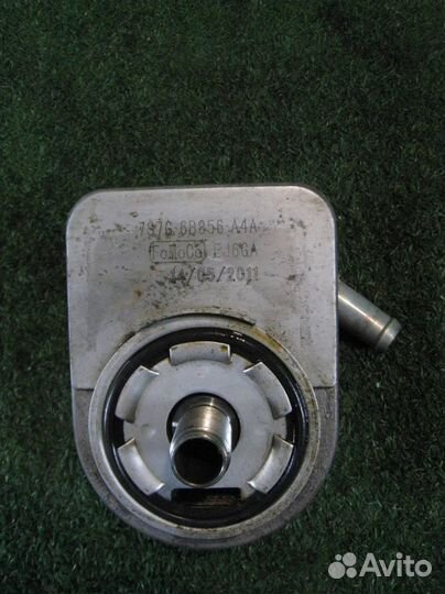 Маслоохладитель Ford Fiesta (CB1) 2011