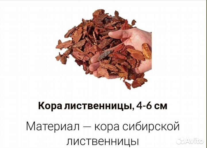 Кора лиственницы