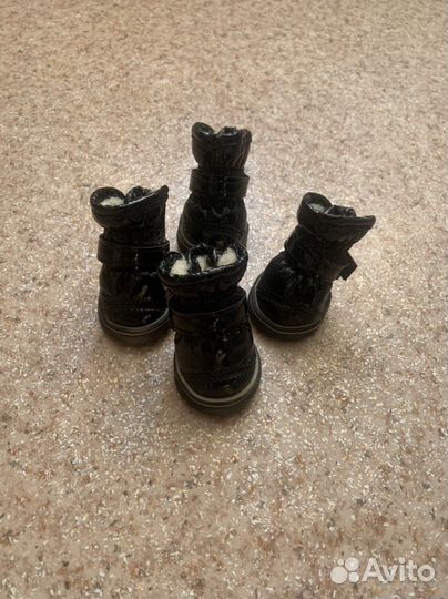 Обувь для собаки