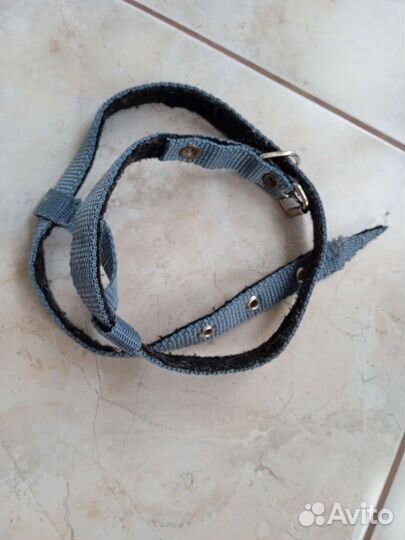 Шлейка и поводок