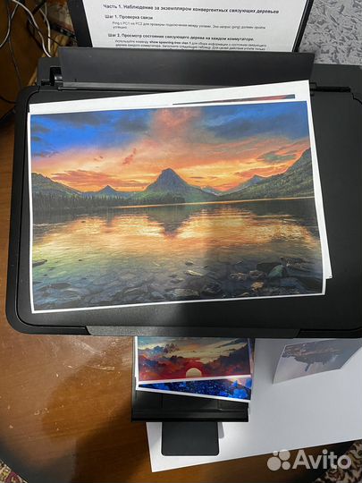 Цветной струйный мфу принтер с снпч