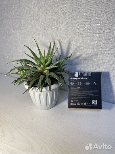 Беспроводные наушники samsung galaxy buds 2 pro
