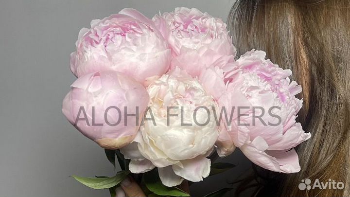 Пионы доставка цветов