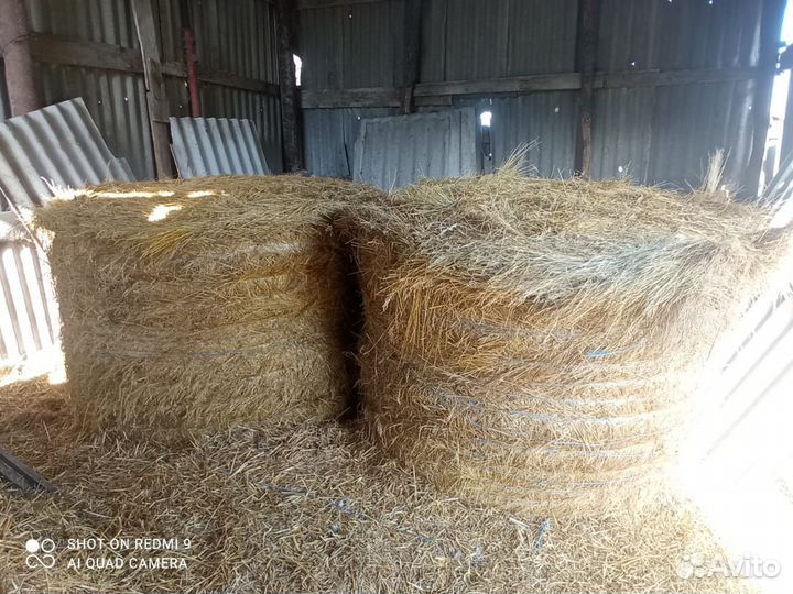 Продам сено в катушках